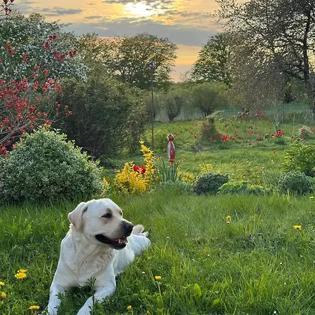 Mit Naturblick Casa de Férias *